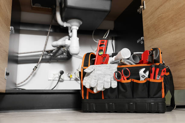 Best Septic Systems  in Roanoke, TX